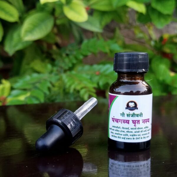 Gau Sanjivni Panchgavy Nasyal Drop [15ml.]